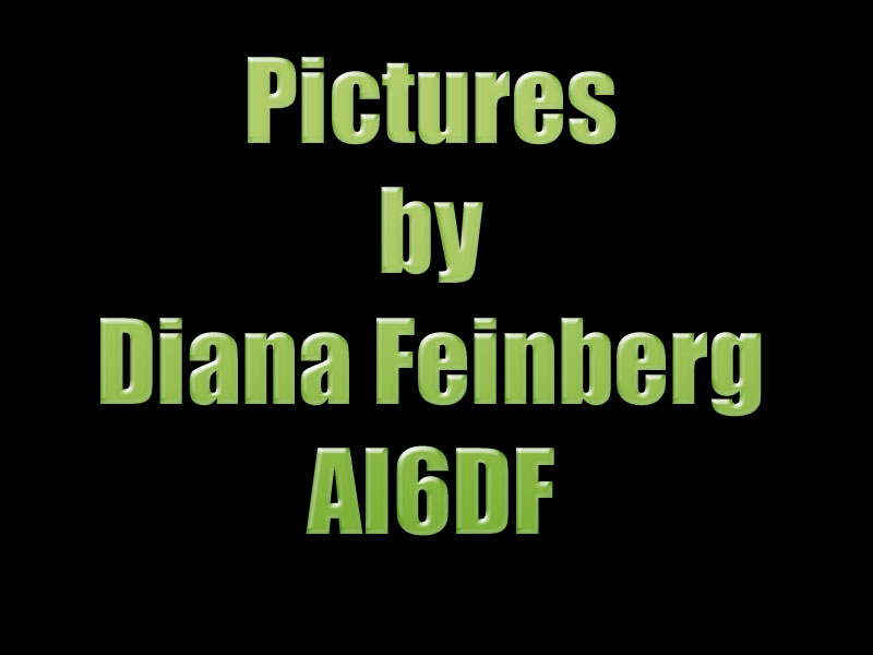 SlideTitle DianaF.jpg